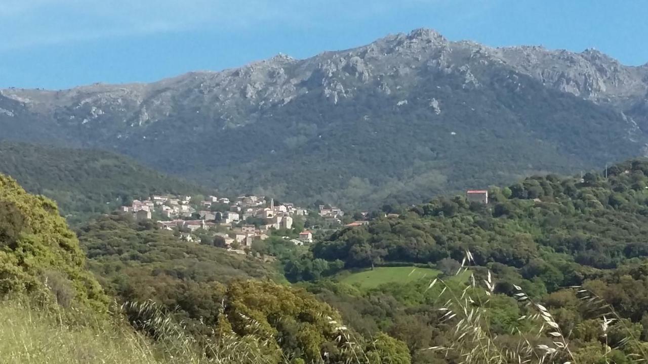 Corsica Monti Gite Appart Petreto-Bicchisano Экстерьер фото